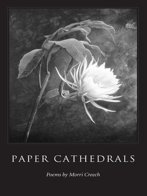 cover image of Paper Cathedrals